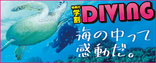 ダイビングをはじめよう！